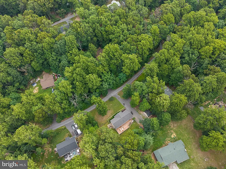 344 White Mule Ln — Photo 28