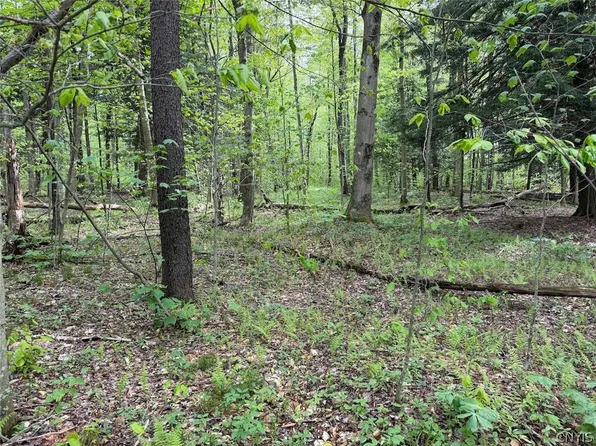 Kellogg Hill Rd, South Dayton, NY 14138