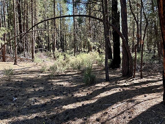 3rd image of Corbell Dr Lot 13