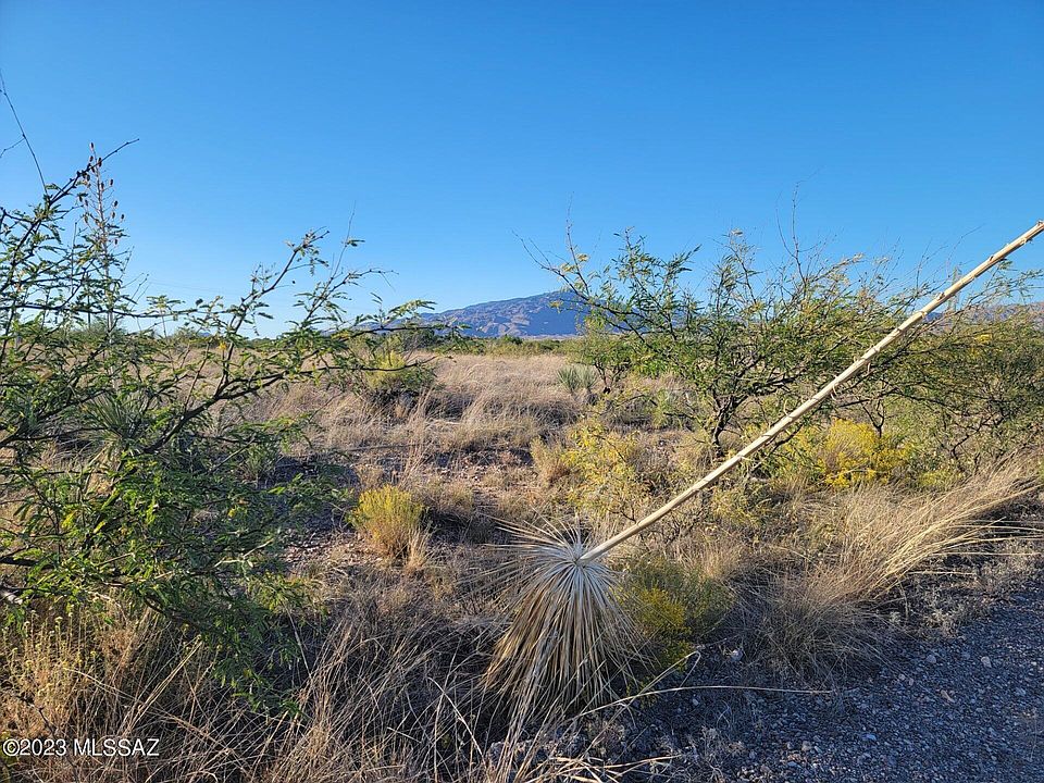 1st image of W Cactus Blossum Ct #410