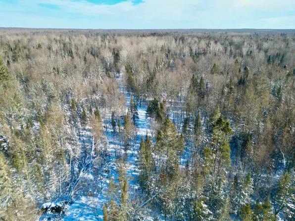 On Pratt Rd N, Deerbrook, WI 54424