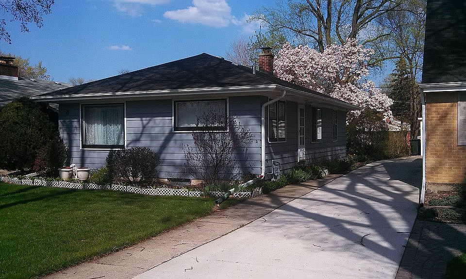 Our magnolia tree in Fall