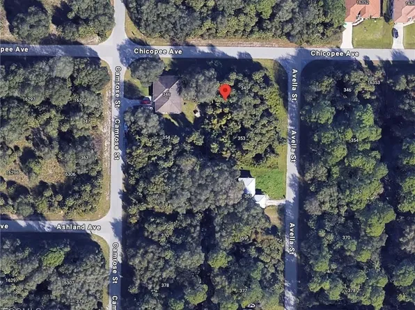 16337 Chicopee Ave, Pt Charlotte, FL 33954
