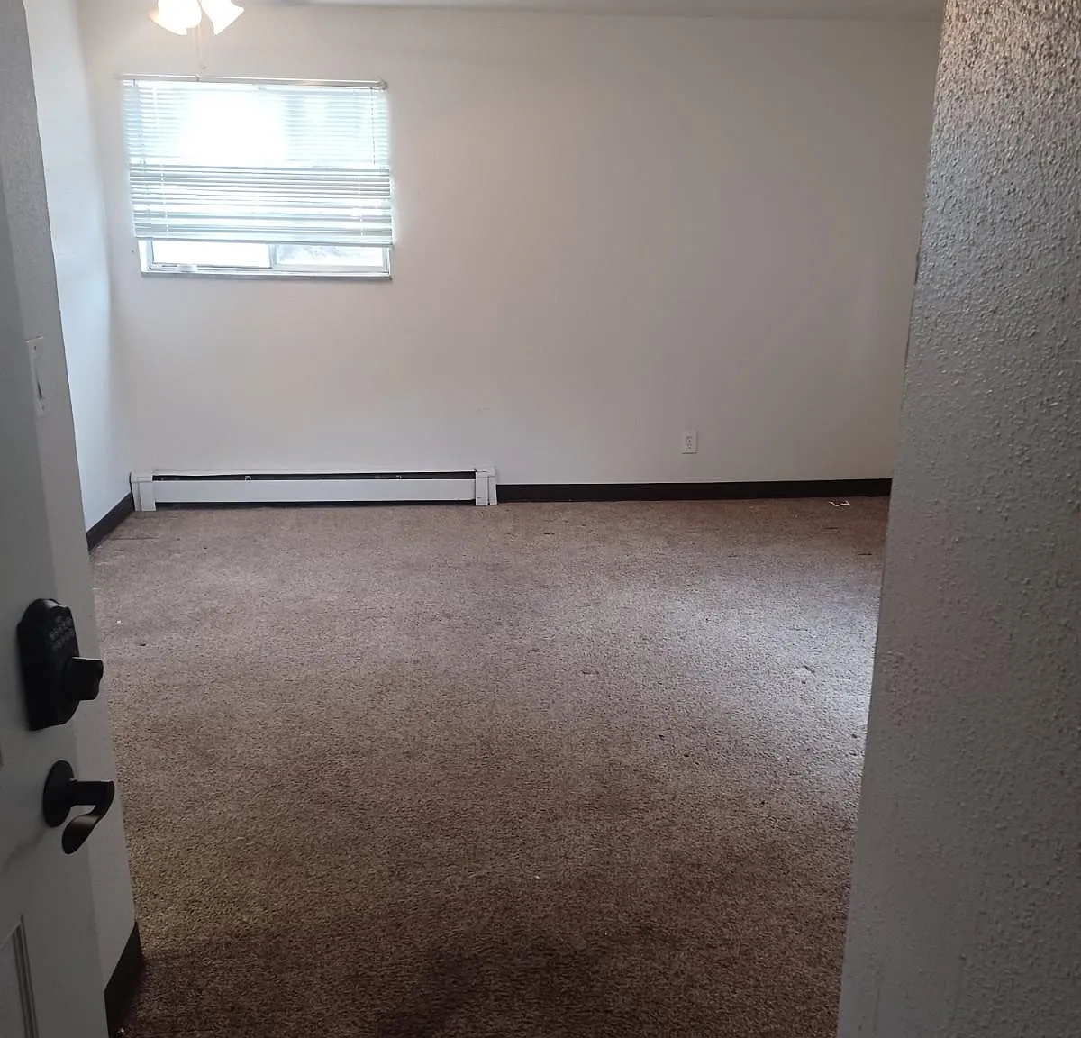1 bed, 550 sqft, $1,100 — Photo 2