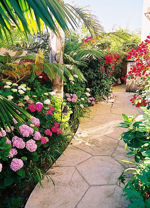 The sideyard