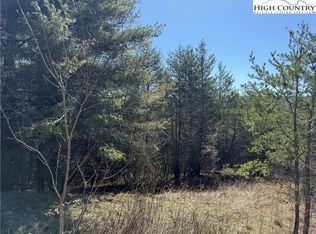 Lot 3 Alta Vista Lane, Sparta, NC 28675