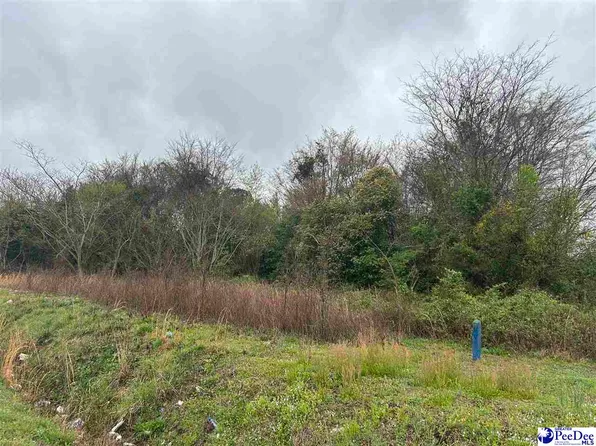 Highway 15 #401, Bennettsville, SC 29512