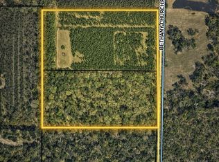 570 Bethany Church Rd, Brinson, GA 39825