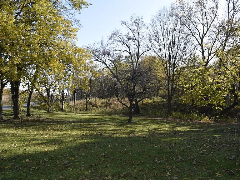 426 Davis Rd — Photo 8