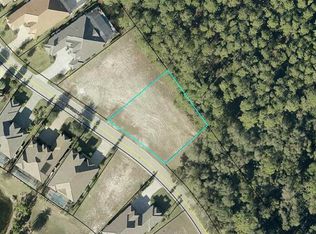 491 Sweetgum Ln Lot 202, Palm Coast, FL 32137