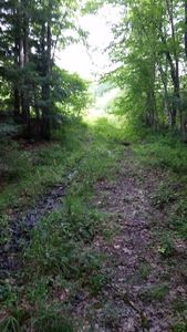 0 Crowningshield Rd, Chesterfield, NH, 03443