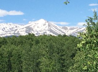 41 Elk Rd, Leadville, CO 80461