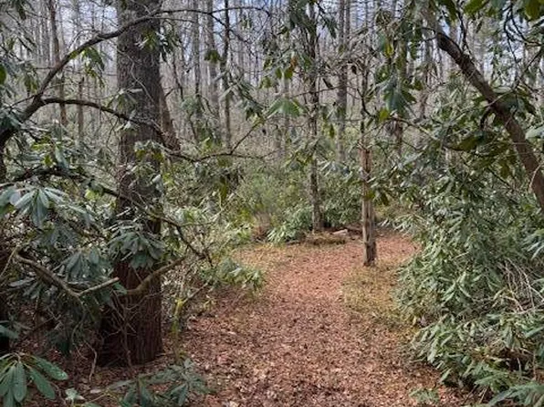 1 Joe Poore Rd, Newland, NC 28657