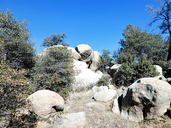 3rd image of 1655 Morning Stone Dr