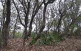 1st image of Dunewood Place Fernandina Beach Amelia Is