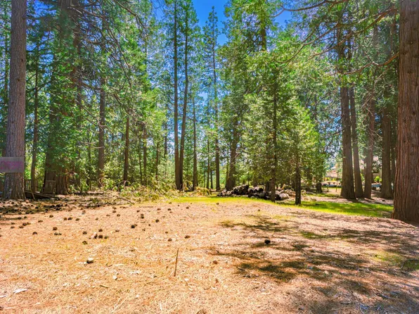 25594 Overland Dr, Volcano, CA 95689