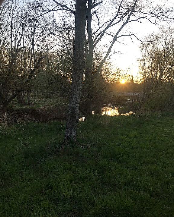 2nd image of 2367 S Branch Rd