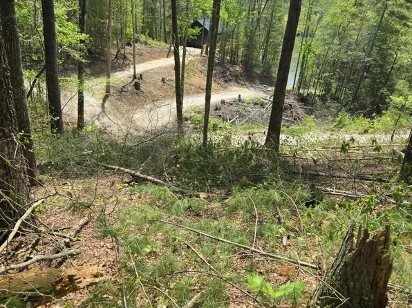 0 Wolfe Lake Rd, Campton, KY 41301