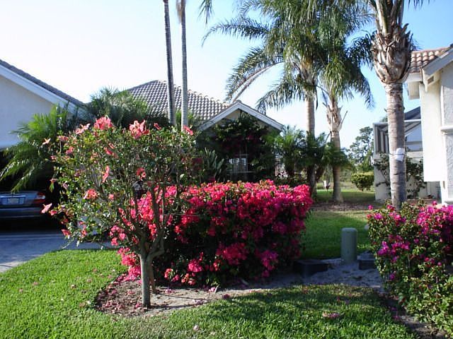 Beautiful front yard