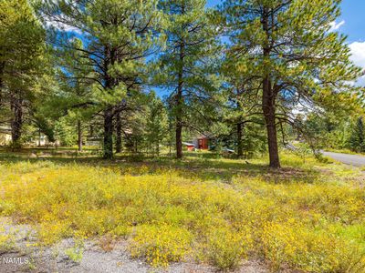 2289 Lohali Trl, Flagstaff, AZ, 86005
