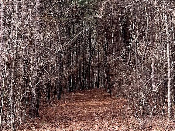 5th image of 325 Everett Springs Rd NE