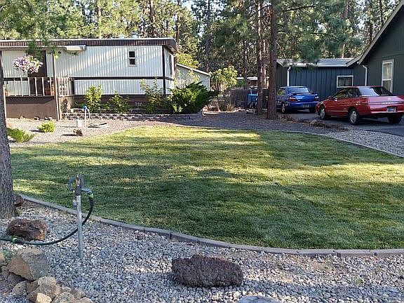 Front lawn 2