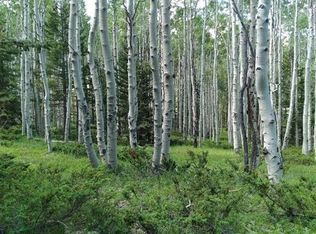 252 Crest Dr, Arrowhead Area, CO 81220