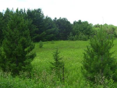 0 Bass Lake Rd, Lupton, MI, 48635