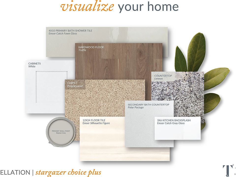 Color Package - Stargazer