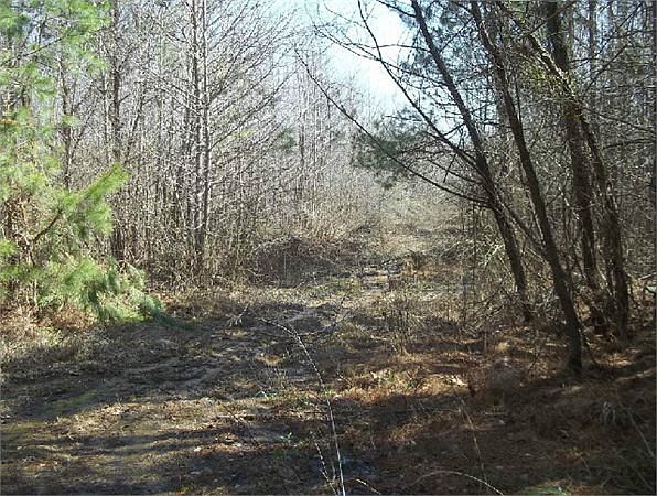 1st image of 1408 County Road 85