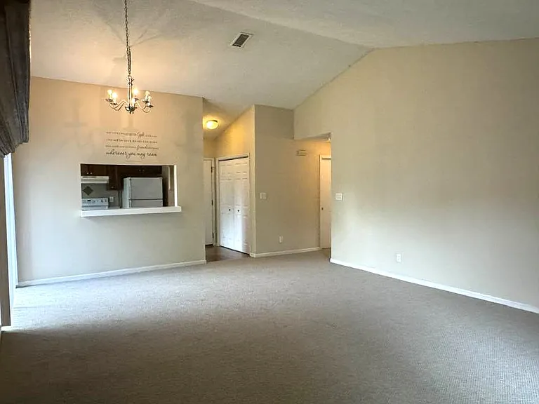 722 Mallard Head Ln — Photo 8