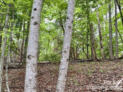 30 Granny Smith Ln, Lake Lure, NC, 28746