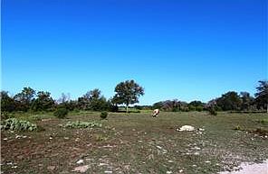 4th image of 350 County Road 204