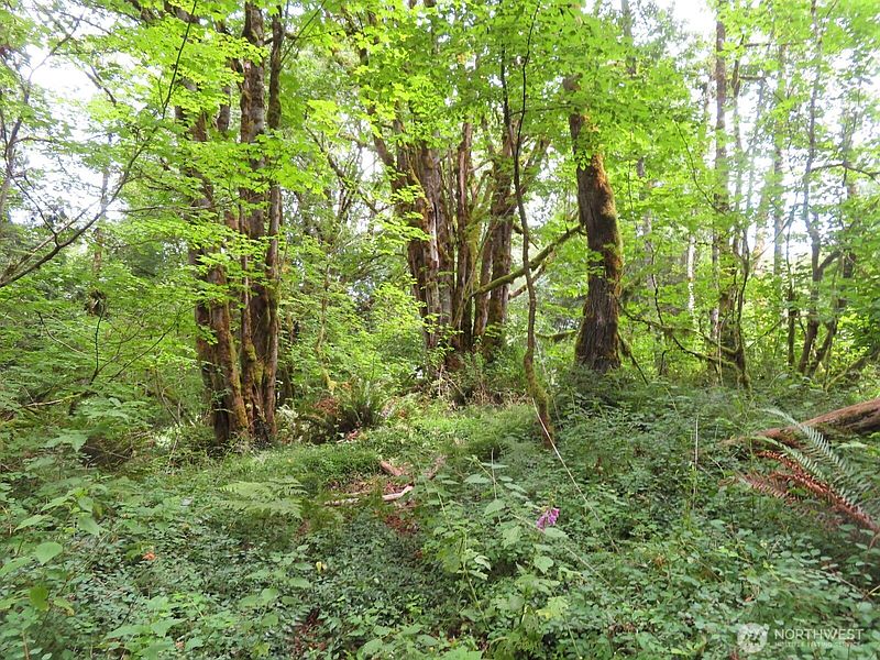 5th image of 0 Lot 11 Valley View Drive