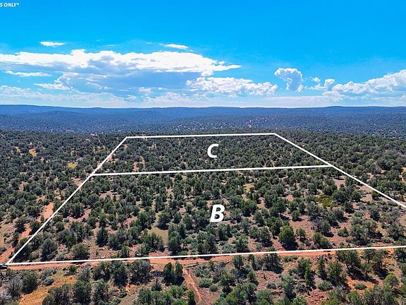 5th image of 61 Norma Rd Lot B