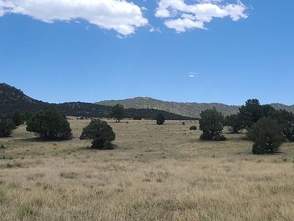 4th image of 204 Chocktaw Dr