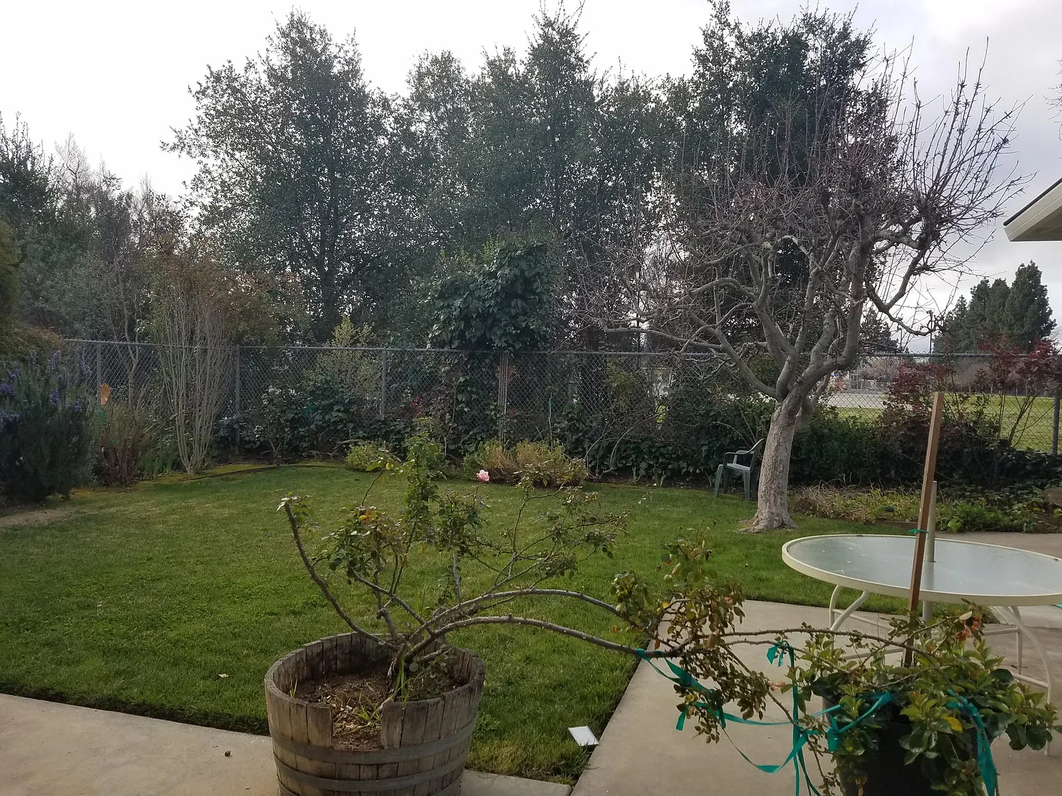 4531 Rice St photo 1