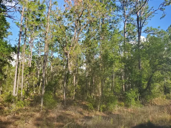 SW 159th Ave #19, Ocala, FL 34481