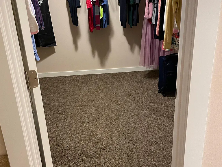 walking closet2