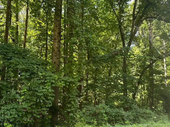 5430 Stephens Rd, Oakwood, GA 30566