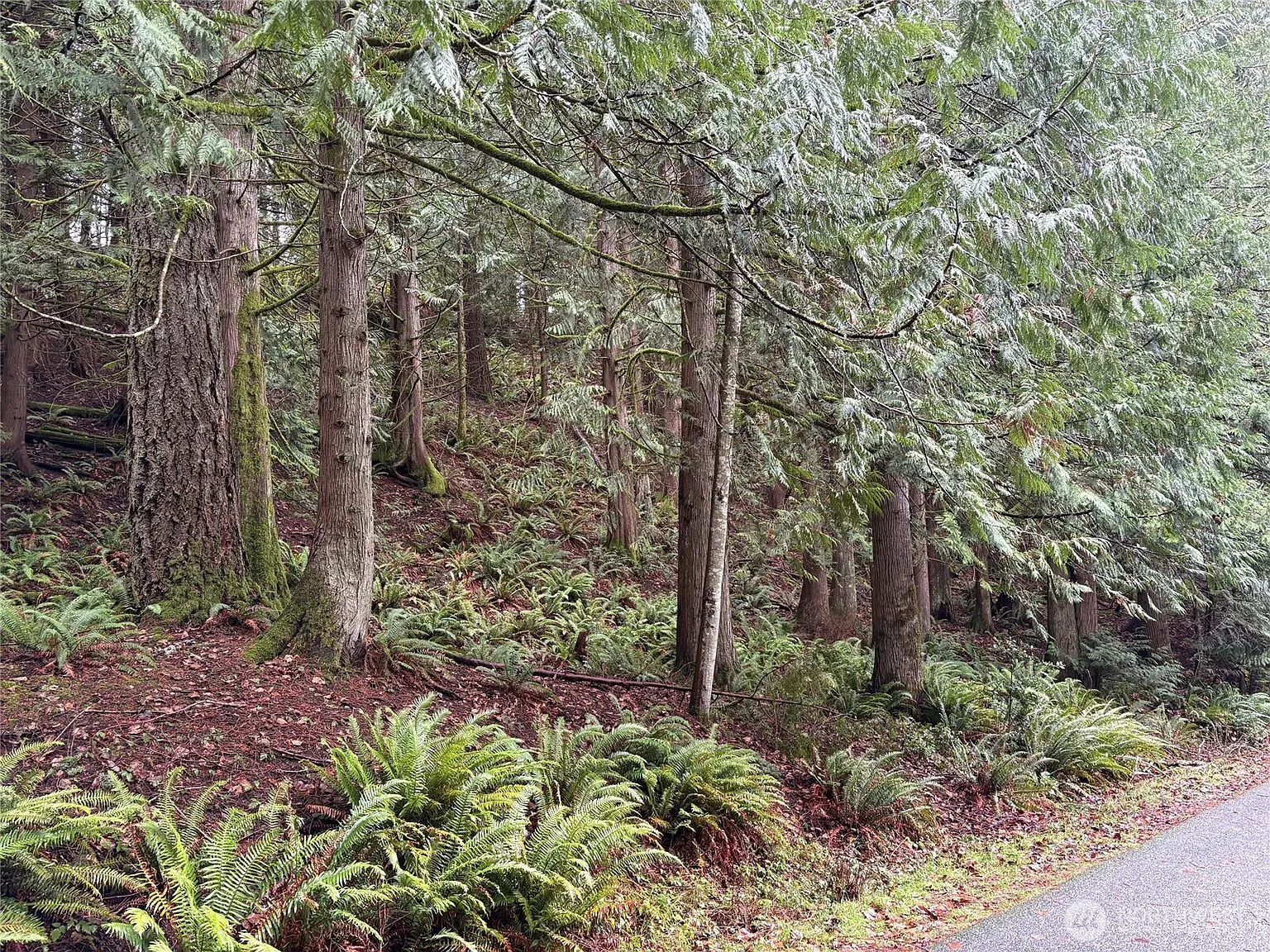 52 High Cliff Lane photo 1