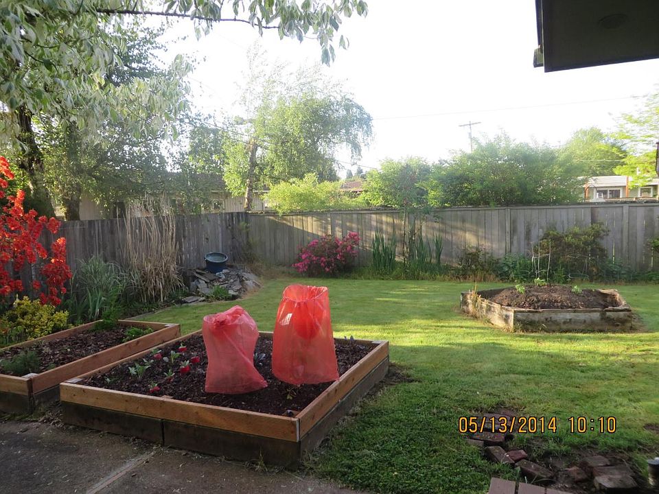 Backyard raised beds