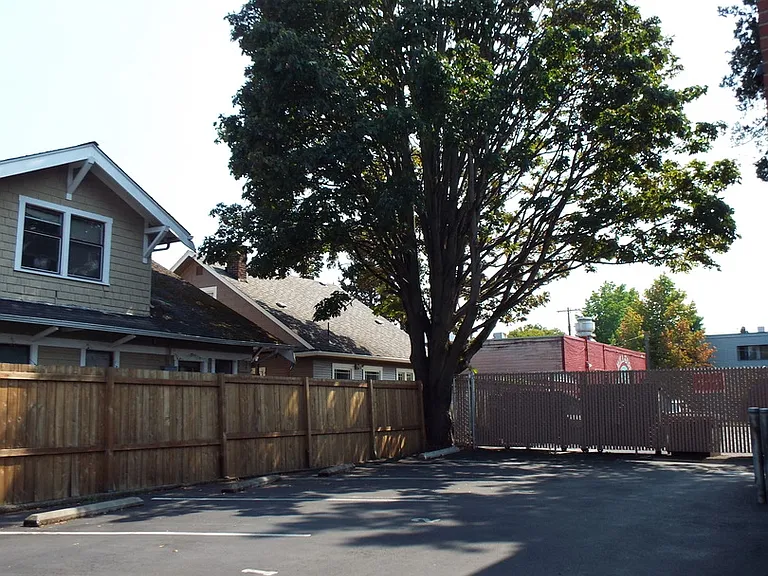 Alchemy Apartments - Located at the top of Phinney Ridge — Photo 27