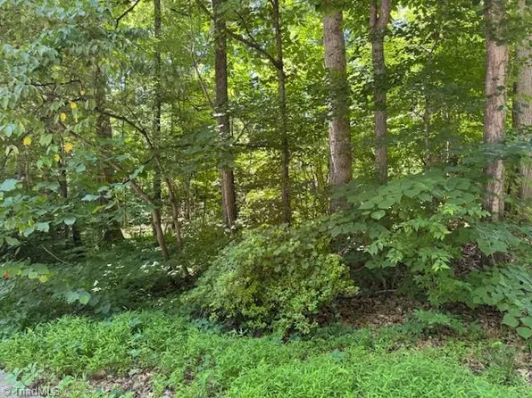 271 Holly Ln Lot 16, Mocksville, NC 27028