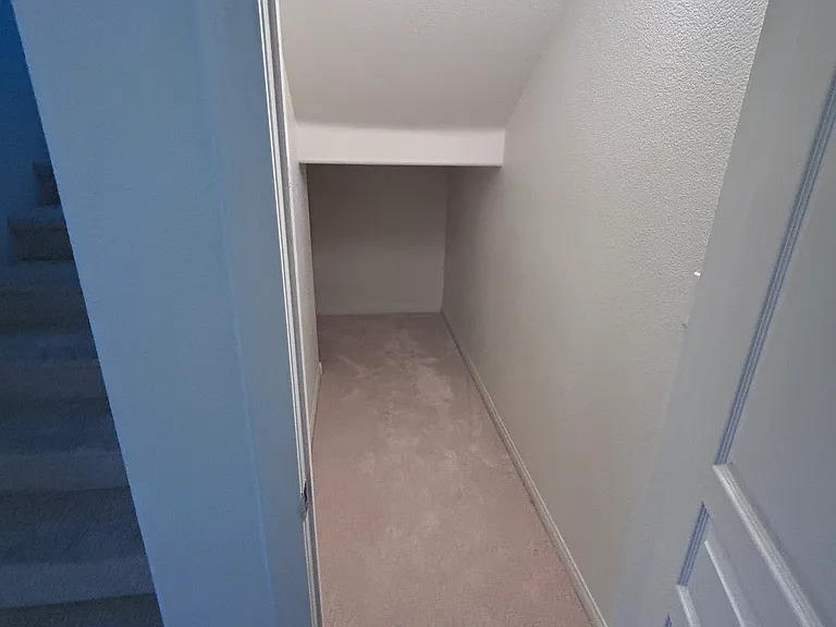 3185 Mist Effect Ave — Photo 10