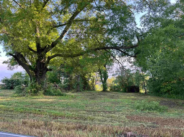 0 County Road 1069, Vinemont, AL 35179