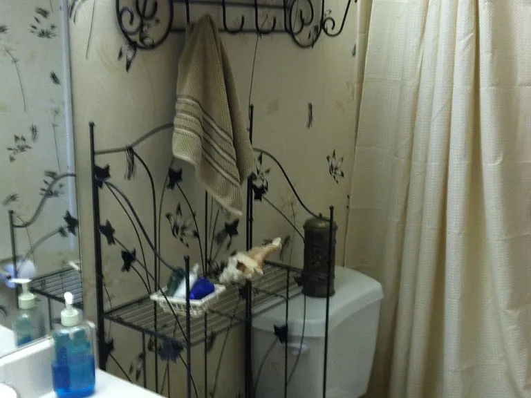 Second/ Guest bathroom