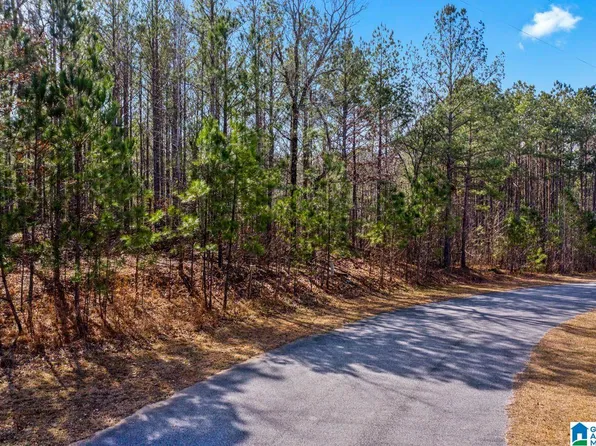 0 Cottage Dr Lot 302, Sylacauga, AL 35151