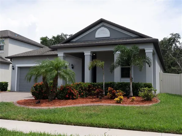 11451 Freshwater Ridge Dr, Riverview, FL 33569