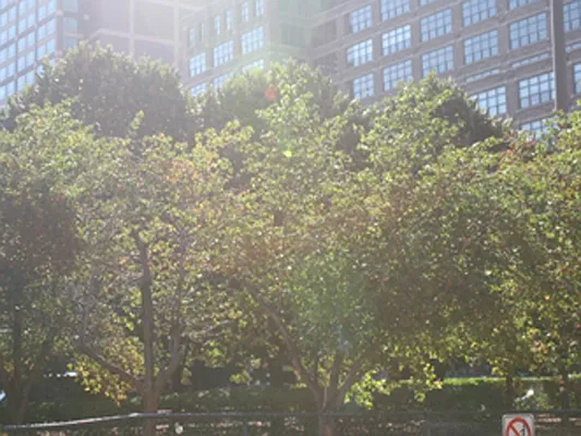 Sold by Sotheby's International Realty | media 14